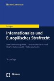 Internationales und Europäisches Strafrecht (eBook, PDF)