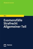 Examensfälle Strafrecht Allgemeiner Teil (eBook, PDF)
