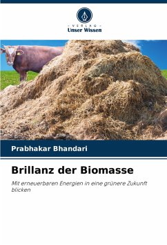 Cover Brillanz der Biomasse