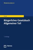 Bürgerliches Gesetzbuch Allgemeiner Teil (eBook, PDF)