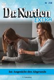 Im Angesicht des Abgrunds (eBook, ePUB)