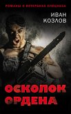 Осколок ордена (eBook, ePUB)