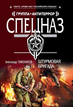 Cover Shturmovaya brigada (eBook, ePUB)