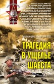 Трагедия в ущелье Шаеста (eBook, ePUB)