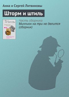 Шторм и штиль (eBook, ePUB) - Литвинова, Анна; Литвинов, Сергей