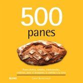 500 panes (eBook, ePUB)