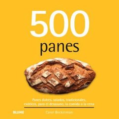 500 panes (eBook, ePUB) - Beckerman, Carol
