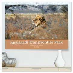 Kgalagadi - Fauna und Wildtiere in der Kalahari (hochwertiger Premium Wandkalender 2025 DIN A2 quer), Kunstdruck in Hochglanz - Calvendo;Stahl, Dieter