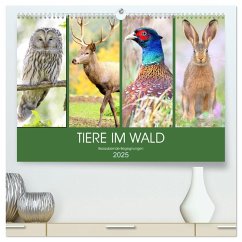 Tiere im Wald. Bezaubernde Begegnungen (hochwertiger Premium Wandkalender 2025 DIN A2 quer), Kunstdruck in Hochglanz