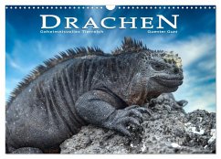 Drachen: Geheimnisvolles Tierreich (Wandkalender 2025 DIN A3 quer), CALVENDO Monatskalender