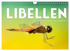 Libellen - Farbenfrohe Insekten (Wandkalender 2025 DIN A4 quer), CALVENDO Monatskalender - Calvendo;Monkey, Happy