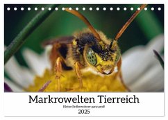 Makrowelten Tierreich (Tischkalender 2025 DIN A5 quer), CALVENDO Monatskalender - Calvendo;Maikowske, Kay