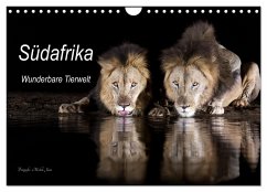 Südafrika wunderbare Tierwelt (Wandkalender 2025 DIN A4 quer), CALVENDO Monatskalender - Calvendo;Junio, Michèle