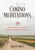 Camino Meditations (eBook, ePUB)