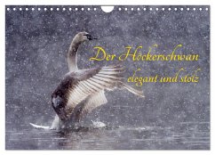 Der Höckerschwan elegant und stolz (Wandkalender 2025 DIN A4 quer), CALVENDO Monatskalender