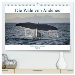 Die Wale von Andenes (hochwertiger Premium Wandkalender 2025 DIN A2 quer), Kunstdruck in Hochglanz