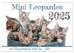 Mini Leoparden - mit Bengalkätzchen durch das Jahr (Wandkalender 2025 DIN A3 quer), CALVENDO Monatskalender