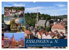 Esslingen a. N., die ehemalige Reichsstadt im Blick (Wandkalender 2025 DIN A2 quer), CALVENDO Monatskalender