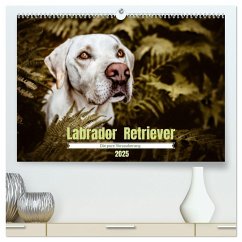 Verzauberung Labrador Retriever 2025 (hochwertiger Premium Wandkalender 2025 DIN A2 quer), Kunstdruck in Hochglanz
