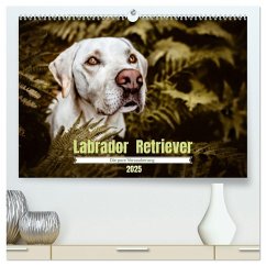 Verzauberung Labrador Retriever 2025 (hochwertiger Premium Wandkalender 2025 DIN A2 quer), Kunstdruck in Hochglanz - Calvendo;Saskia Katharina Siebel, Sensiebelfotografie