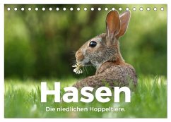 Hasen - Die niedlichen Hoppeltiere. (Tischkalender 2025 DIN A5 quer), CALVENDO Monatskalender