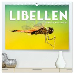 Libellen - Farbenfrohe Insekten (hochwertiger Premium Wandkalender 2025 DIN A2 quer), Kunstdruck in Hochglanz