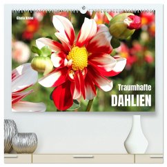 Traumhafte Dahlien (hochwertiger Premium Wandkalender 2025 DIN A2 quer), Kunstdruck in Hochglanz - Calvendo;Kruse, Gisela
