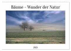 Bäume - Wunder der Natur (Wandkalender 2025 DIN A2 quer), CALVENDO Monatskalender - Calvendo;W. Hack, Dieter