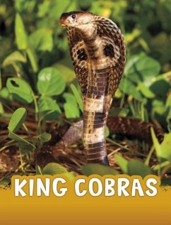 Cover King Cobras