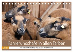 Kamerunschafe in allen Farben (Tischkalender 2025 DIN A5 quer), CALVENDO Monatskalender - Calvendo;Sixt, Marion