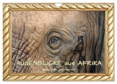 Augenblicke aus Afrika (Wandkalender 2025 DIN A4 quer), CALVENDO Monatskalender