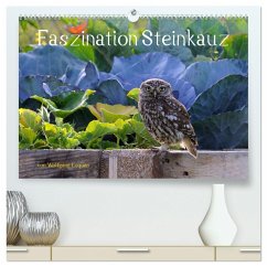 Faszination Steinkauz (hochwertiger Premium Wandkalender 2025 DIN A2 quer), Kunstdruck in Hochglanz