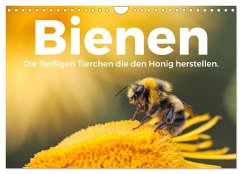 Bienen - Die fleißigen Tierchen die den Honig herstellen. (Wandkalender 2025 DIN A4 quer), CALVENDO Monatskalender - Calvendo;Scott, M.