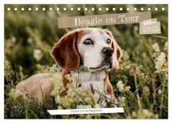 Beagle - Unser treuer Begleiter (Tischkalender 2025 DIN A5 quer), CALVENDO Monatskalender - Calvendo;Lea-Isabelle