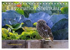 Faszination Steinkauz (Tischkalender 2025 DIN A5 quer), CALVENDO Monatskalender