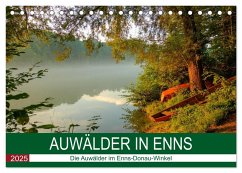 Auwälder bei Enns (Tischkalender 2025 DIN A5 quer), CALVENDO Monatskalender