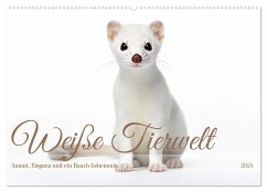 Weiße Tierwelt (Wandkalender 2025 DIN A2 quer), CALVENDO Monatskalender