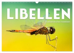 Libellen - Farbenfrohe Insekten (Wandkalender 2025 DIN A3 quer), CALVENDO Monatskalender