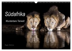 Südafrika wunderbare Tierwelt (Wandkalender 2025 DIN A3 quer), CALVENDO Monatskalender - Calvendo;Junio, Michèle