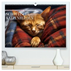 Schottische Katzenhelden (hochwertiger Premium Wandkalender 2025 DIN A2 quer), Kunstdruck in Hochglanz