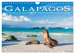 Die faszinierende Tierwelt der Galapagos-Inseln (Wandkalender 2025 DIN A4 quer), CALVENDO Monatskalender - Calvendo;Guni, Guenter