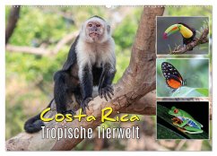 Costa Rica - Tropische Tierwelt (Wandkalender 2025 DIN A2 quer), CALVENDO Monatskalender