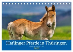 Haflinger Pferde in Thüringen (Tischkalender 2025 DIN A5 quer), CALVENDO Monatskalender - Calvendo;Irmer, Torsten