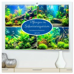 Pflanzen im Süßwasseraquarium. Gartenkunst im Fischbecken (hochwertiger Premium Wandkalender 2025 DIN A2 quer), Kunstdruck in Hochglanz - Calvendo;Hurley, Rose