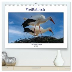 Weißstorch, der stolze Flieger (hochwertiger Premium Wandkalender 2025 DIN A2 quer), Kunstdruck in Hochglanz