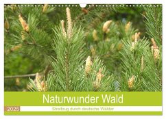 Naturwunder Wald (Wandkalender 2025 DIN A3 quer), CALVENDO Monatskalender - Calvendo;Vier, Bettina