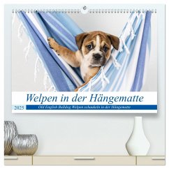 Welpen in der Hängematte (hochwertiger Premium Wandkalender 2025 DIN A2 quer), Kunstdruck in Hochglanz - Calvendo;Verena Scholze, Fotodesign