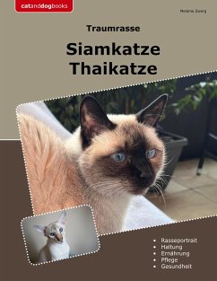 Traumrasse Siamkatze - Zwerg, Melanie