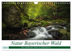 Natur Bayerischer Wald (Wandkalender 2025 DIN A4 quer), CALVENDO Monatskalender - Calvendo;Thilo Wagner, Fotografie