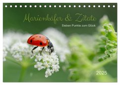 Marienkäfer & Zitate - Sieben Punkte zum Glück (Tischkalender 2025 DIN A5 quer), CALVENDO Monatskalender